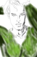 Mister Greensleeves
